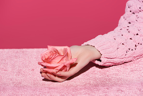 cropped view of woman holding rose flower on velour cloth isolated on pink, girlish concept