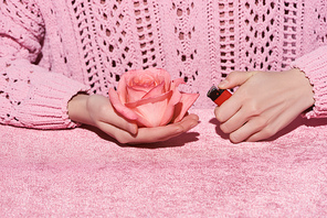 cropped view of woman in sweater holding rose flower and lighter on pink velour cloth, girlish concept