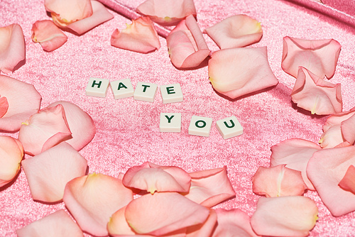 rose petals scattered near hate you lettering on velour pink cloth, girlish concept