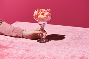 cropped view of woman with petals in glass on velour cloth isolated on pink, girlish concept