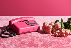 roses and vintage phone on velour pink cloth isolated on pink, girlish concept