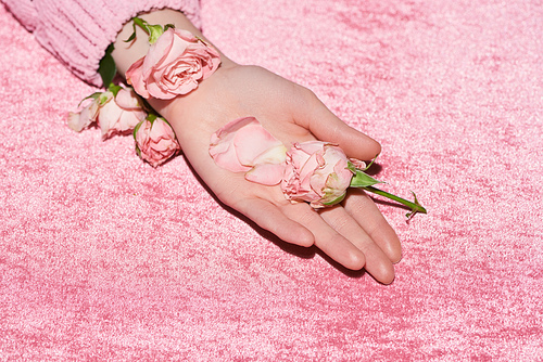 cropped view of woman holding roses on velour pink cloth, girlish concept