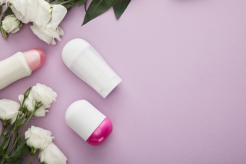 top view of bottles of deodorant on violet background with white roses