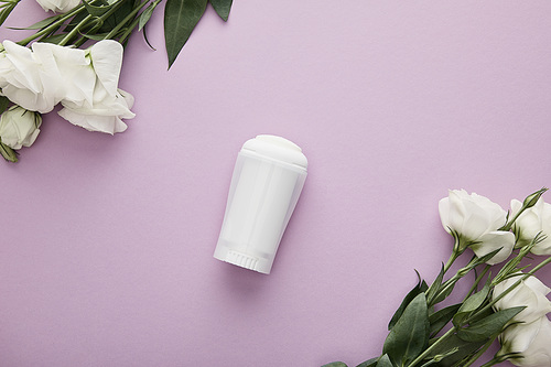 top view of roll on bottle of deodorant on violet background with white roses
