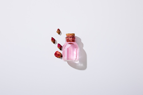 Top view of bottle of rose oil and pink buds on grey background