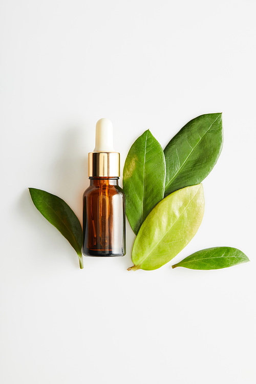 Top view of bottle of cosmetic oil with leaves on white background