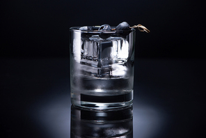 transparent glass with ice cube and vodka garnished with blueberries on black background