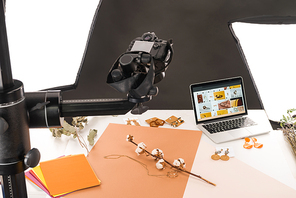 composition with cotton flower and accessories for photo shooting with camera and laptop