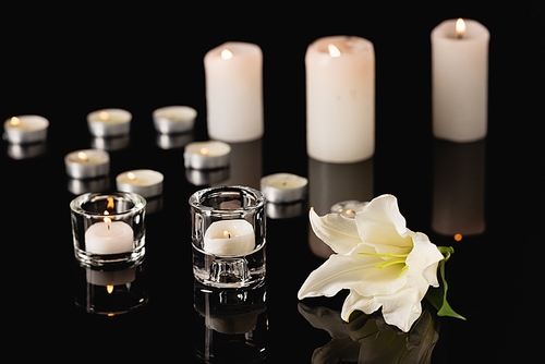 lily, candles on black background, funeral concept
