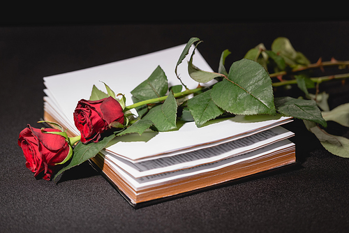 red roses on holy bible on black background, funeral concept