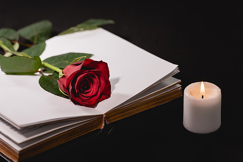 red rose on holy bible near candle on black background, funeral concept
