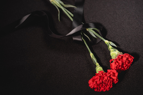 top view of two red carnation flowers with ribbon on black background, funeral concept