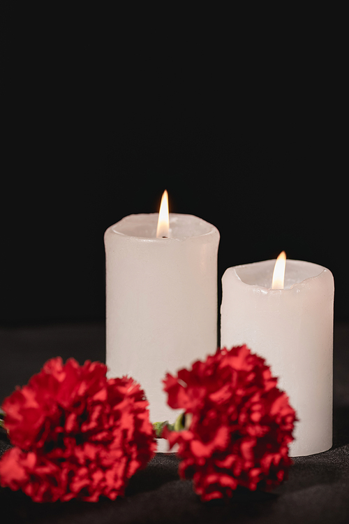 red carnation flowers and candles on black background, funeral concept