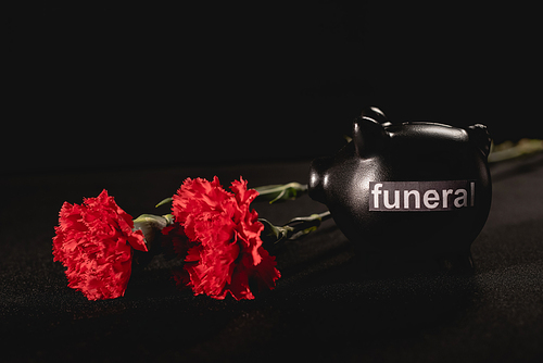red carnation flowers and piggy bank on black background, funeral concept