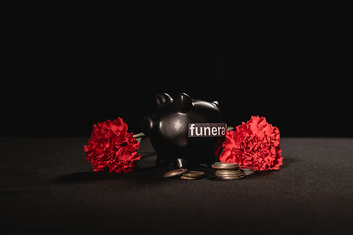 red carnation flowers and piggy bank with coins on black background, funeral concept