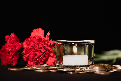 red carnations, candle and coins on black background, funeral concept