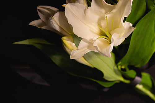 closeup of lily bouquet and ribbon on black background, funeral concept