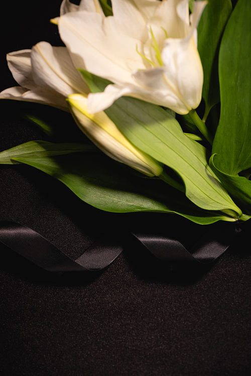 closeup of lily bouquet and ribbon on black background, funeral concept