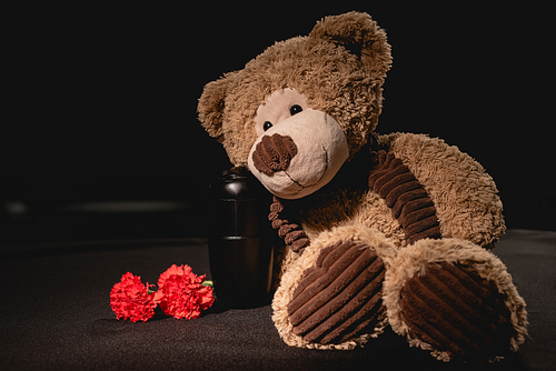 carnation, teddy bear and urn with ashes on black background, funeral concept