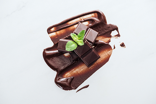 Top view of pieces of chocolate bar and fresh mint on white background
