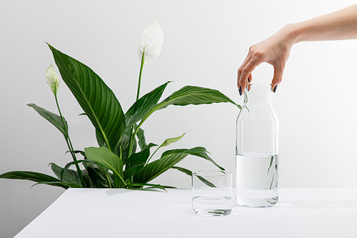 cropped view of woman holding bottle of fresh water near green peace lily plant and glass on white surface