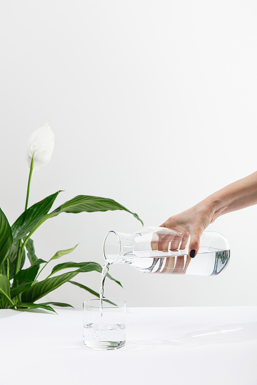cropped view of woman pouring water from bottle in glass near green peace lily plant on white surface