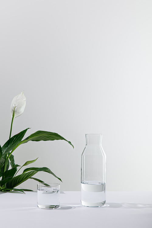 glass and bottle of fresh water near green peace lily plant on white surface
