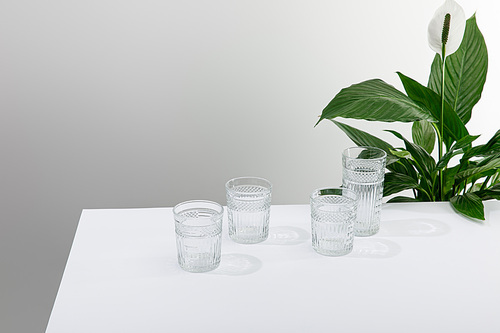faceted glasses of fresh water on white table near green peace lily plant