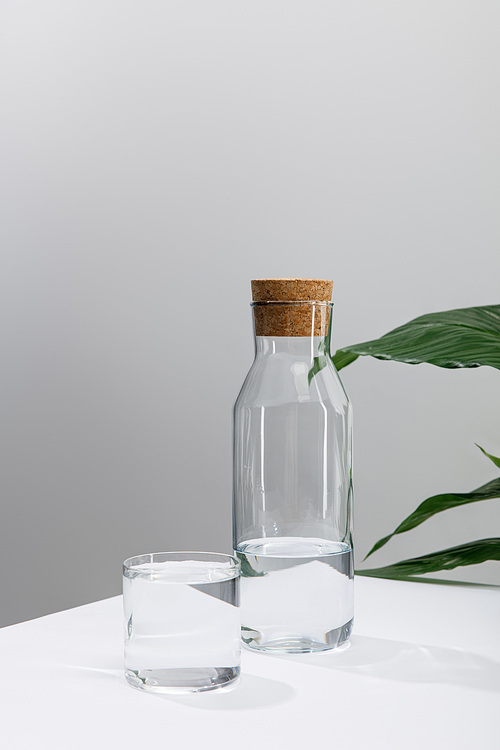glass and bottle of fresh water on white surface near green peace lily plant isolated on grey
