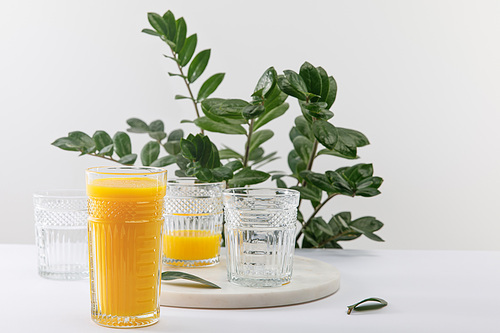 glass of delicious yellow smoothie on white surface near green plant isolated on grey
