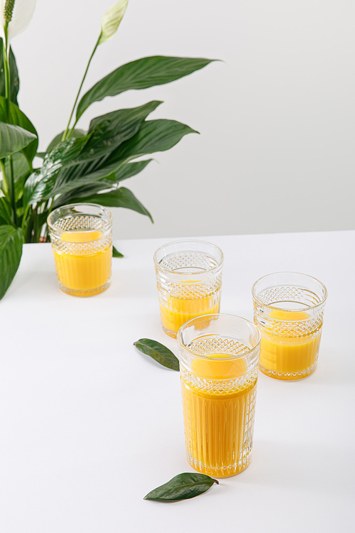 glasses of fresh delicious yellow smoothie on white surface near green peace lily plant isolated on grey