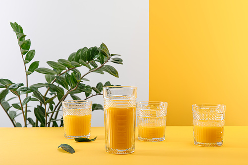 glasses of fresh delicious yellow smoothie near green plant