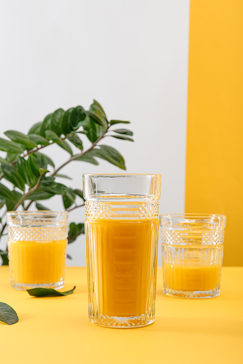 selective focus of glasses of fresh delicious yellow smoothie near green plant