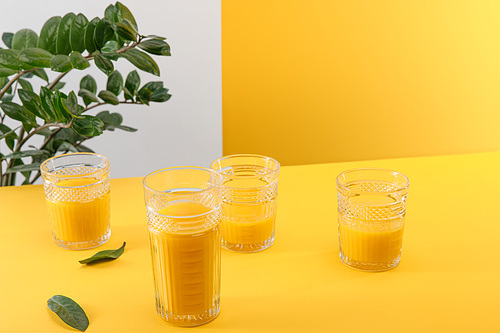 glasses of fresh delicious yellow smoothie near green plant