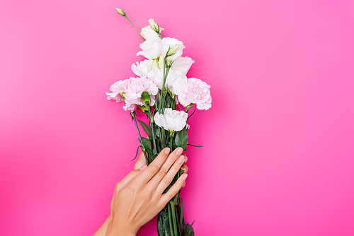 partial view of woman with shiny manicure holding eustoma and carnation flowers on pink background