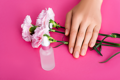 cropped view of female hand near bottle of cuticle remover and carnation flowers on pink background