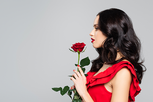 side view of woman holding red rose isolated on grey