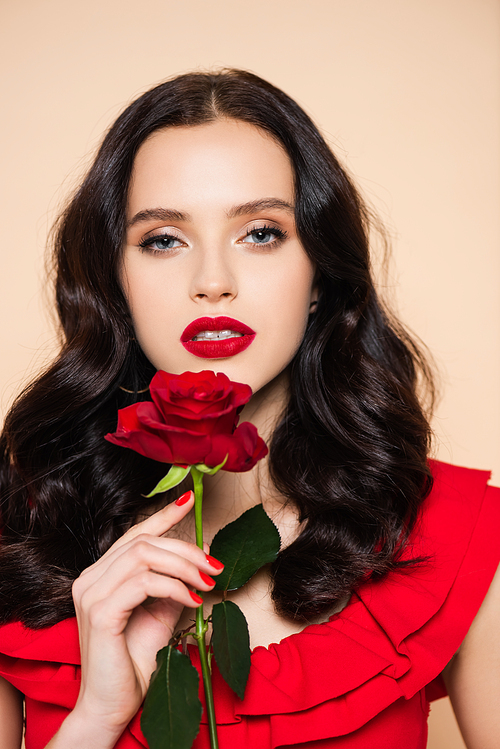 brunette young woman with red lips holding rose isolated on pink