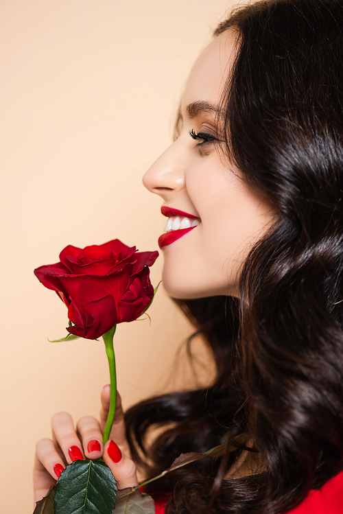 side view of happy young woman with red lips holding rose isolated on pink