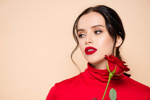 brunette woman with red lips holding red rose and looking away isolated on pink