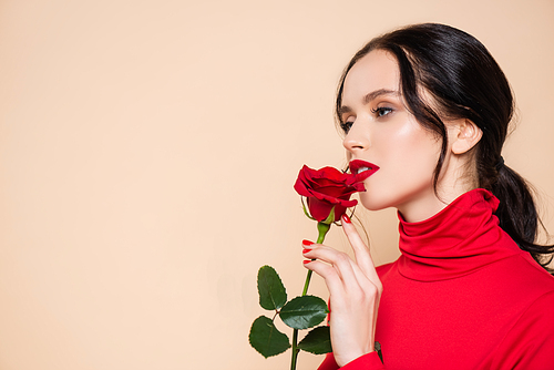 sensual woman with red lips holding red rose and looking away isolated on pink