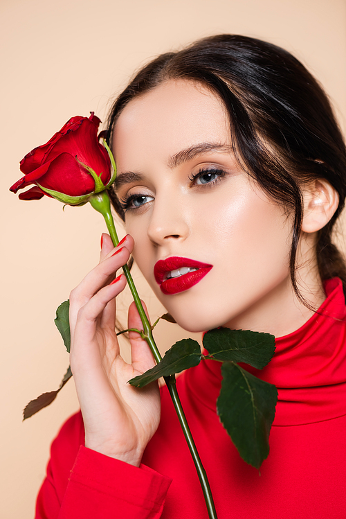 sensual woman with red lips holding red rose isolated on pink
