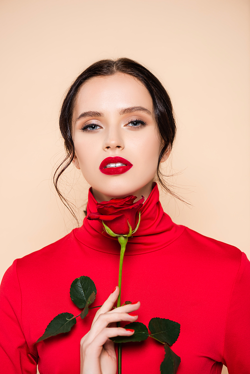 young sensual woman with red lips holding red rose and  isolated on pink