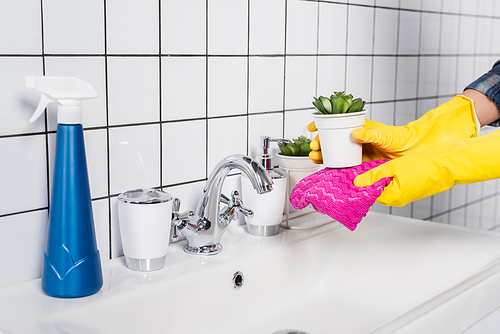 Cropped view of woman cleaning potted plant near bottle of detergent on sink in bathroom