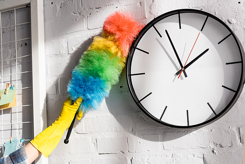 Cropped view of woman cleaning clock with dust brush