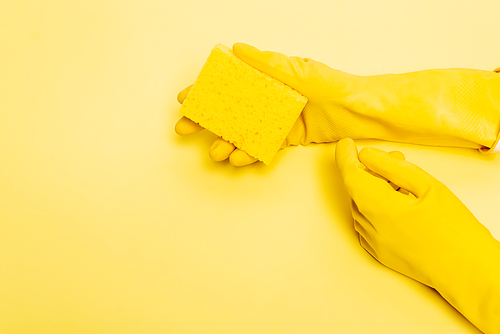 High angle view of hands in rubber gloves holding sponge on yellow background