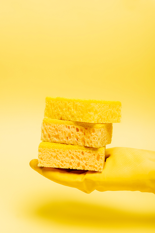 Cropped view of hand in rubber glove holding sponges on yellow background