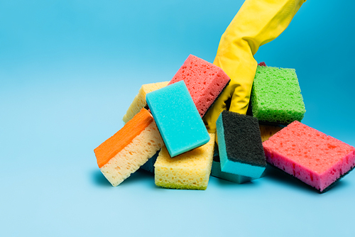 Cropped view of person in rubber glove near colorful sponges on blue background