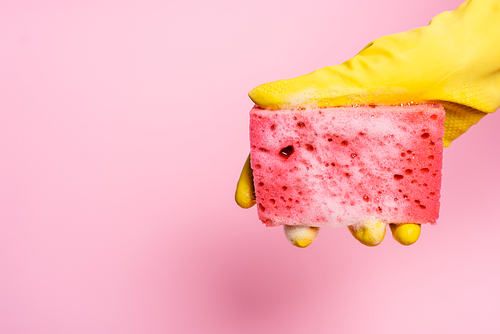 Cropped view of hand in rubbed glove holding sponge with soap foam on pink background