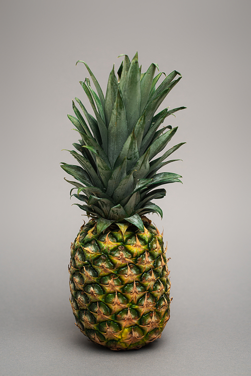 whole ripe and fresh pineapple on grey